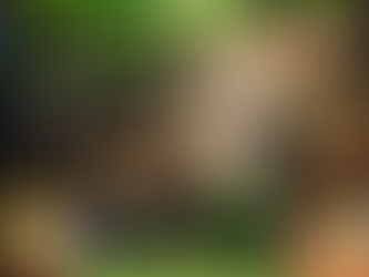 Goede Vrijdag open en 1e en 2e paasdag gesloten