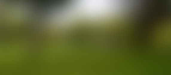 Há tanto para contemplar no Parque Ambiental de Santa Margarida!