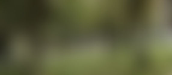 Bom Dia | Parque Ambiental de Santa Margarida