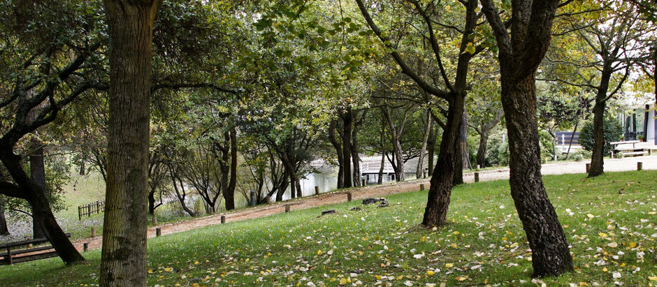 Bom Dia | Parque Ambiental de Santa Margarida