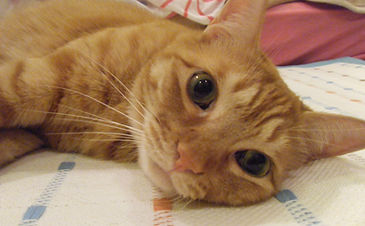 DSCF0171.JPG