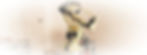WhatsApp Image 2023-09-16 at 10_edited_edited.jpg