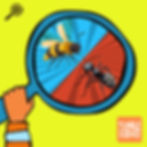 A hand holds a magnifying glass showing a bee and an ant on a colorful red and blue background.