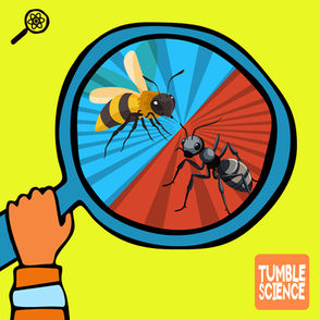 A hand holds a magnifying glass showing a bee and an ant on a colorful red and blue background.