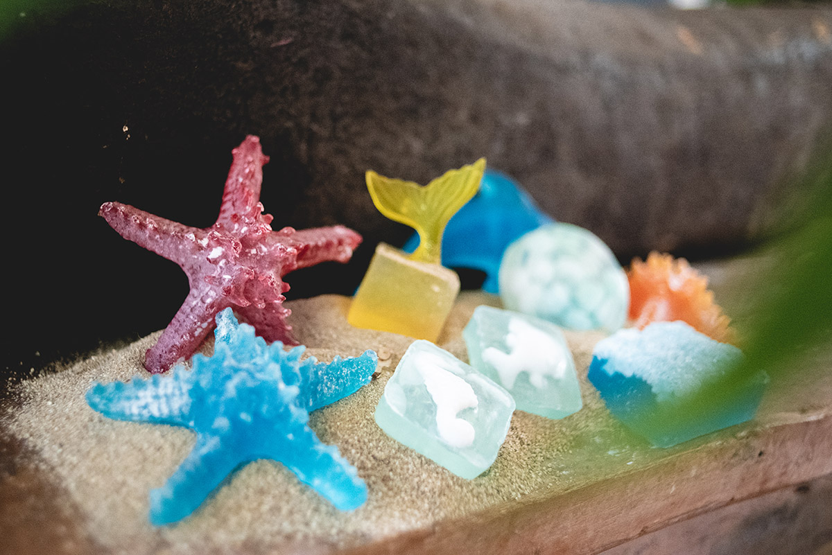 Sea Creature Soap 3