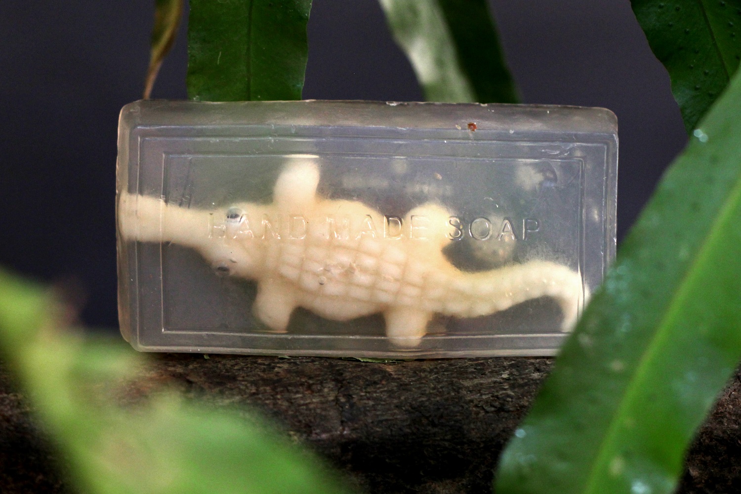 Crocodile Soap 2