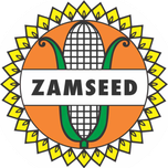Zamseed