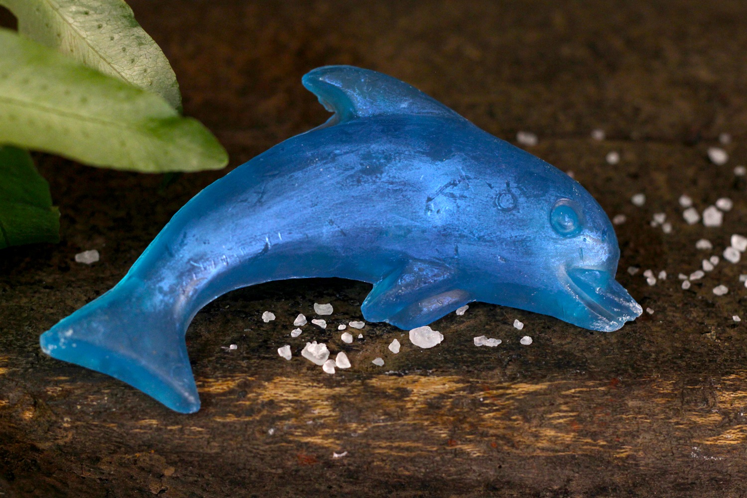 Dolphin Soap