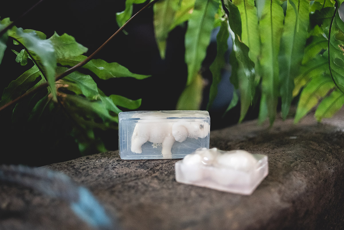 Hippo Soap 3