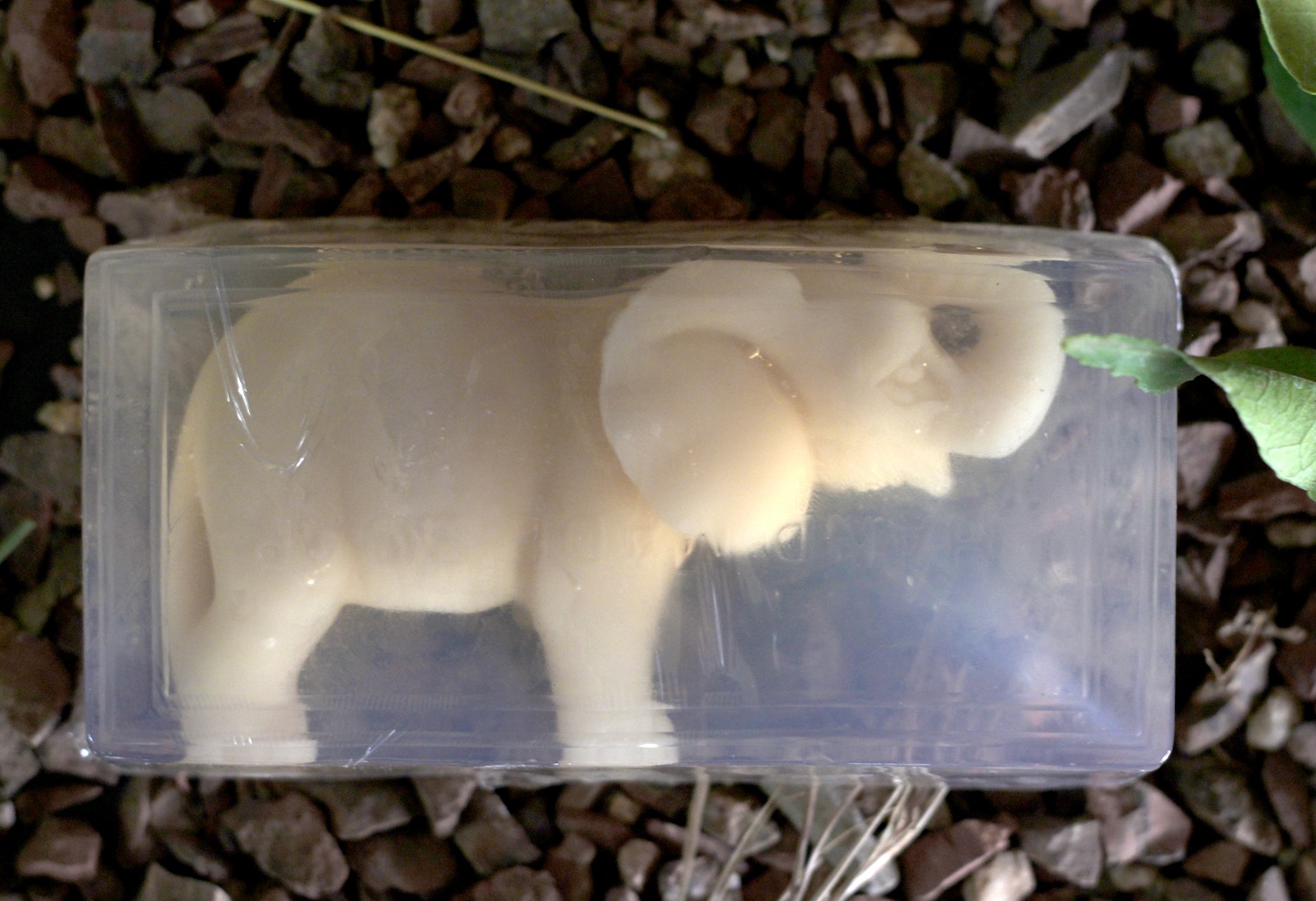 Elephant Soap