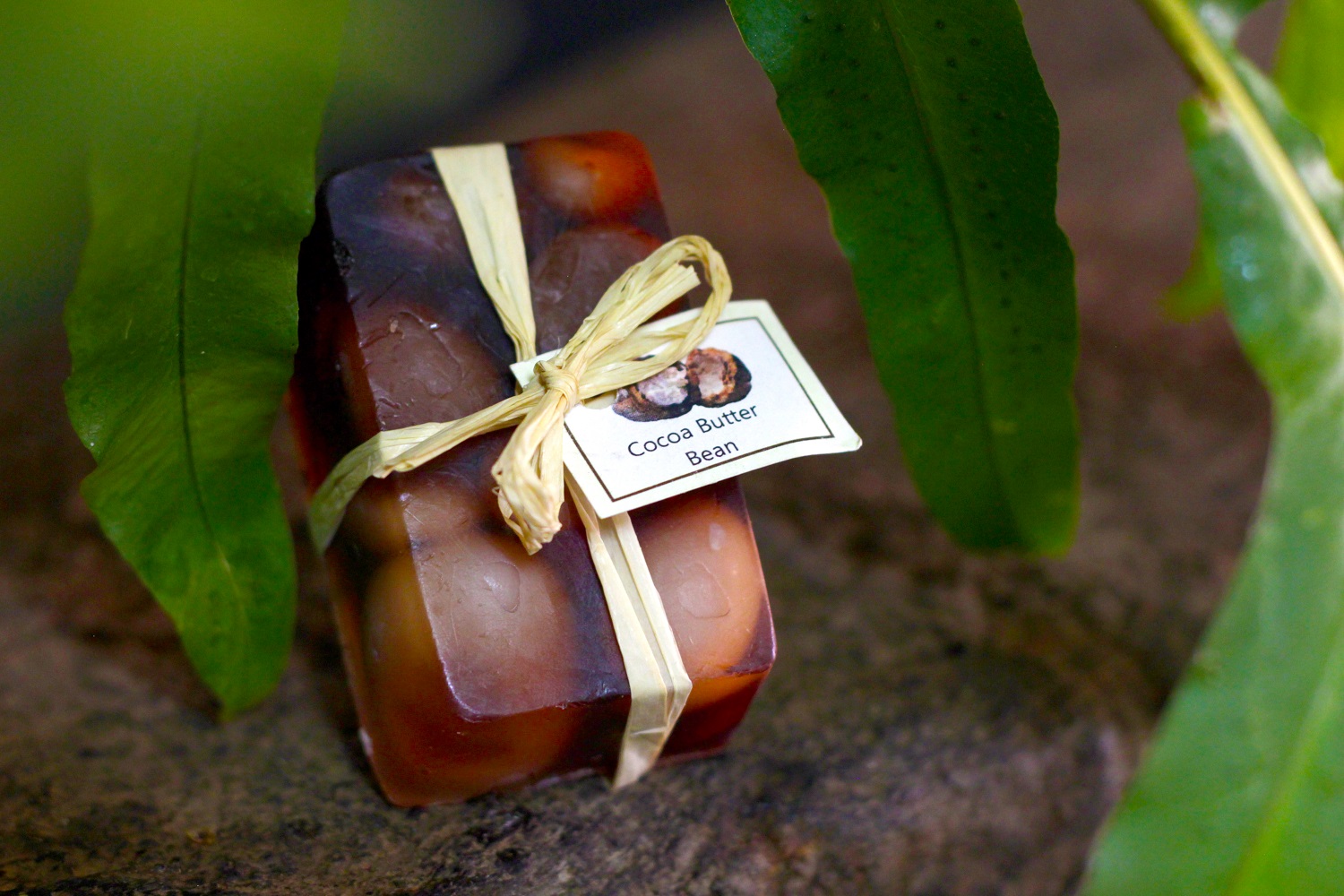 Cocoa Butter Soap 2