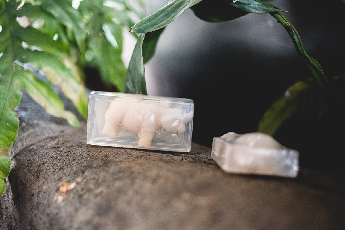 Hippo Soap 2