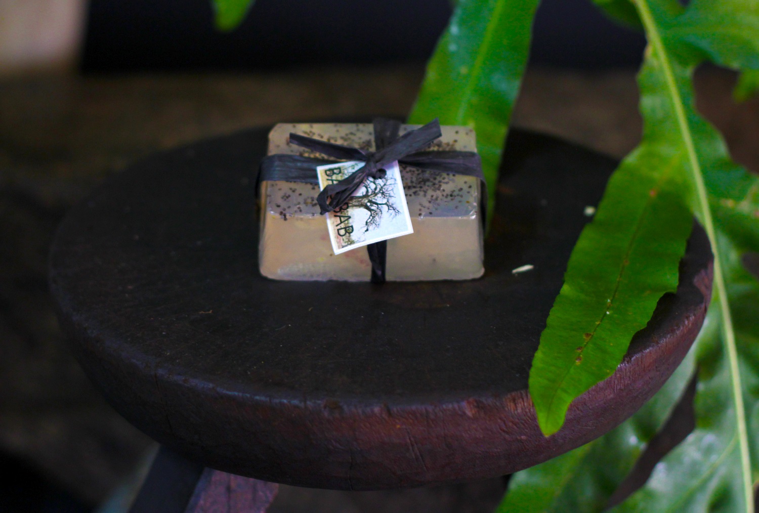 Baobab Soap 2