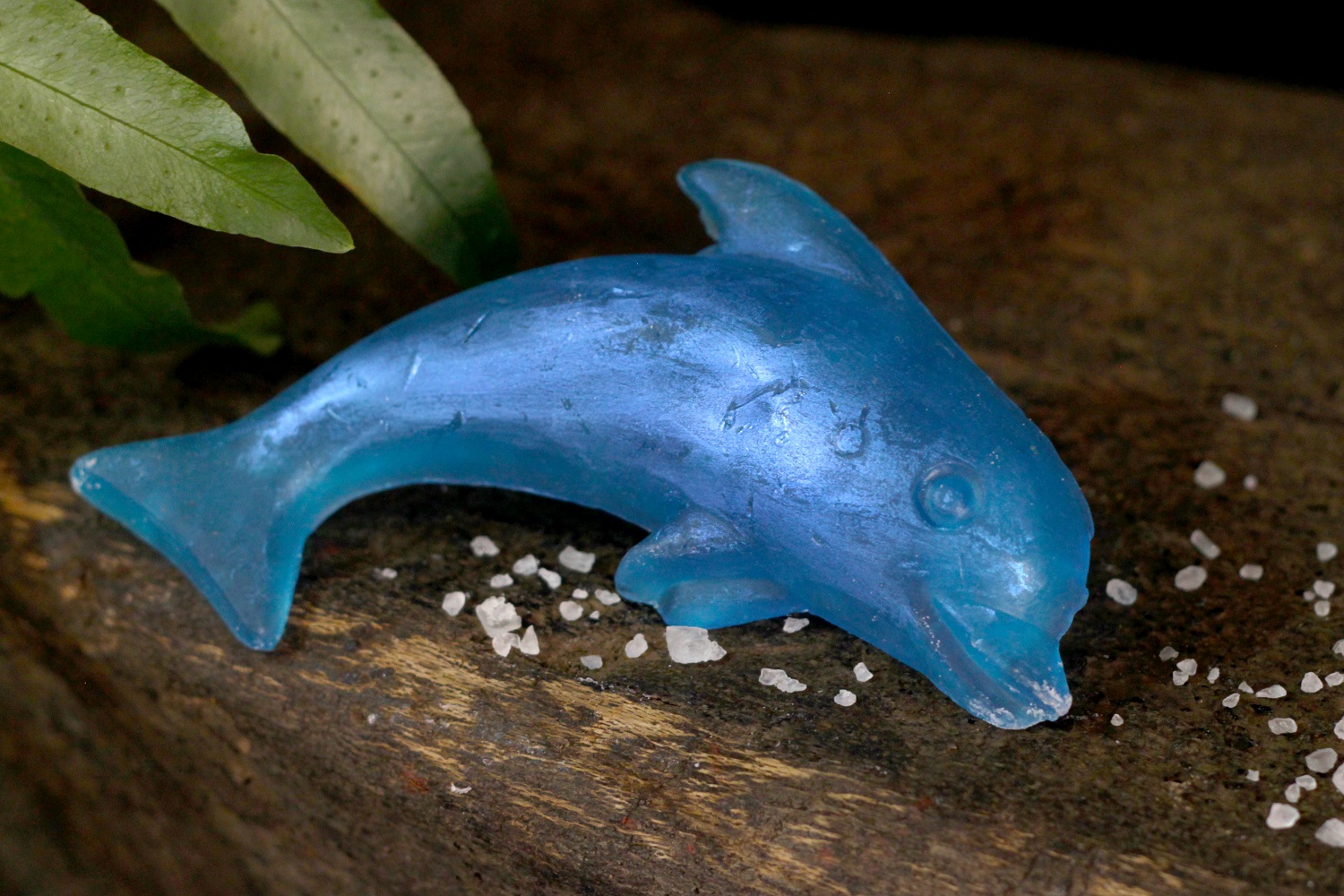 Dolphin Soap 2