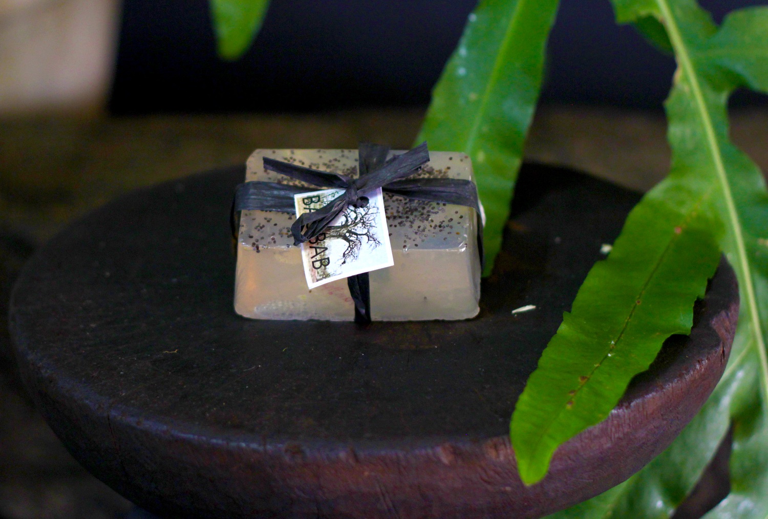 Baobab Soap