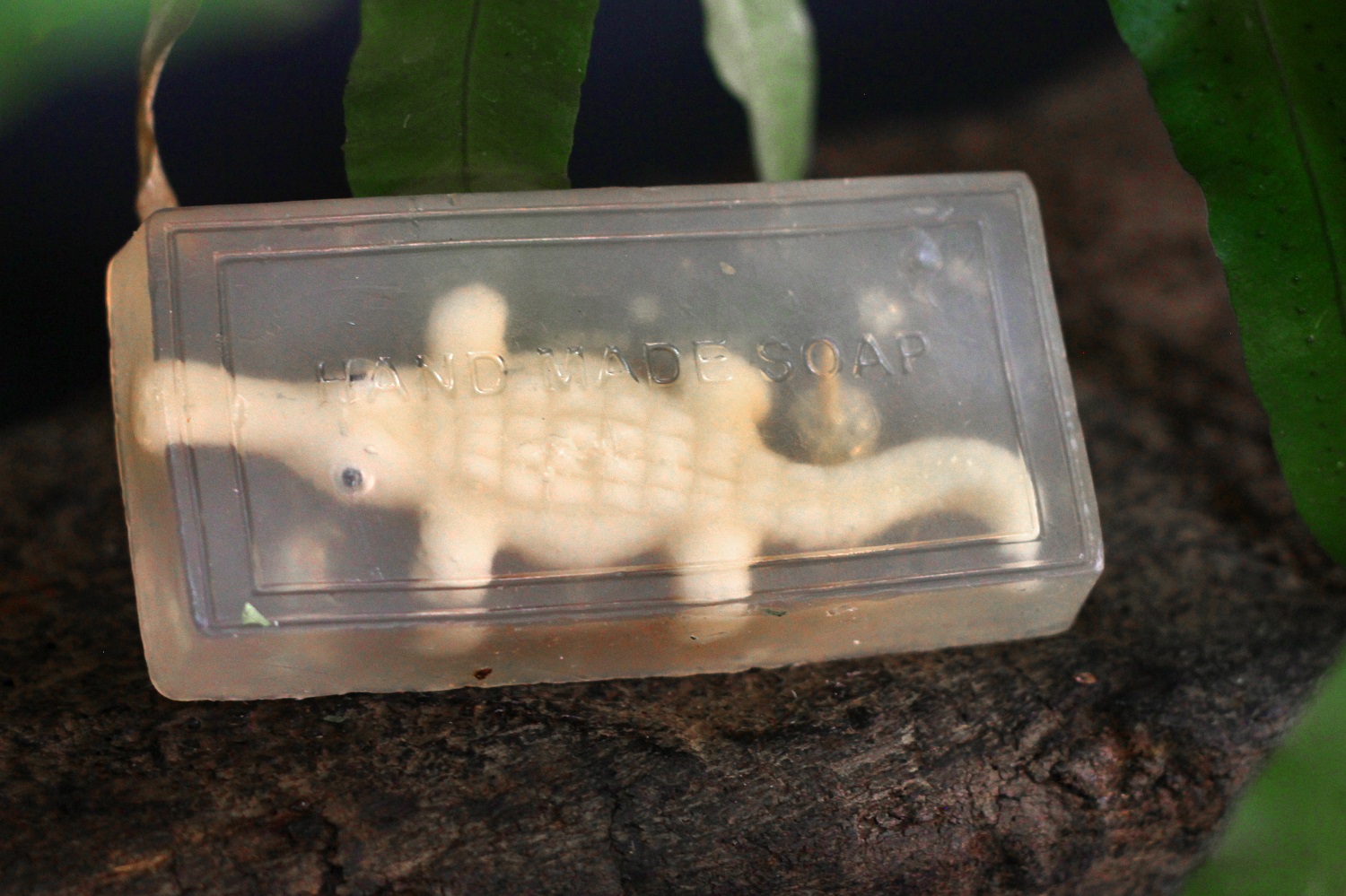 Crocodile Soap