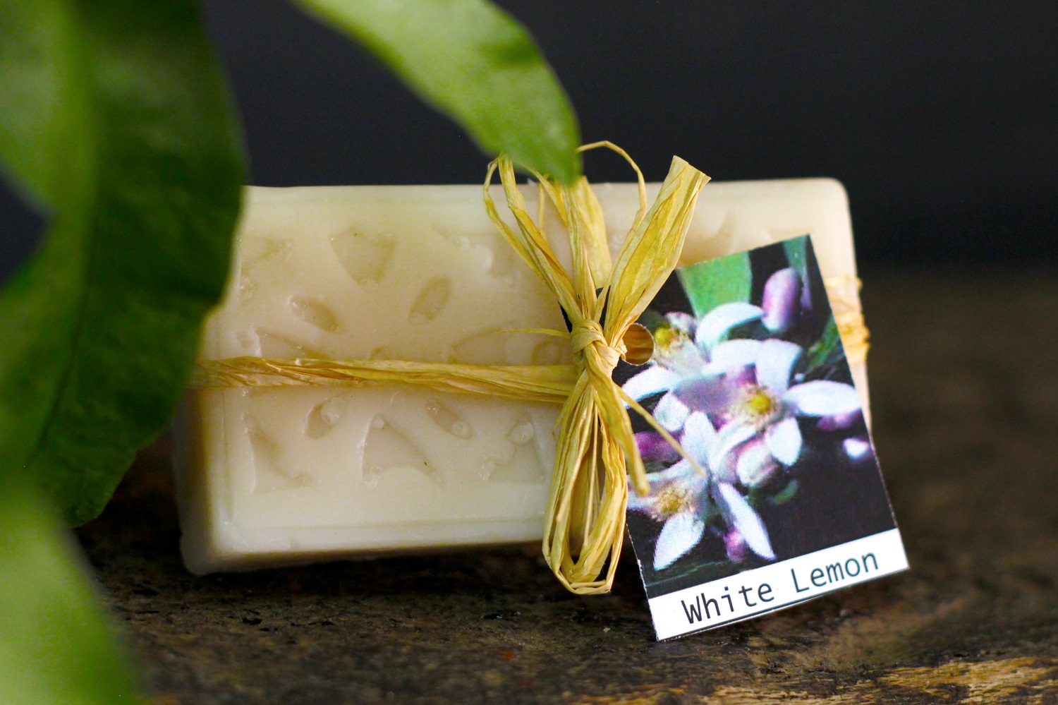Bergamot & White Lemon Soap 2