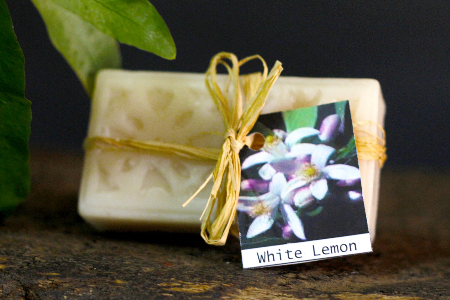 Bergamot & White Lemon Soap