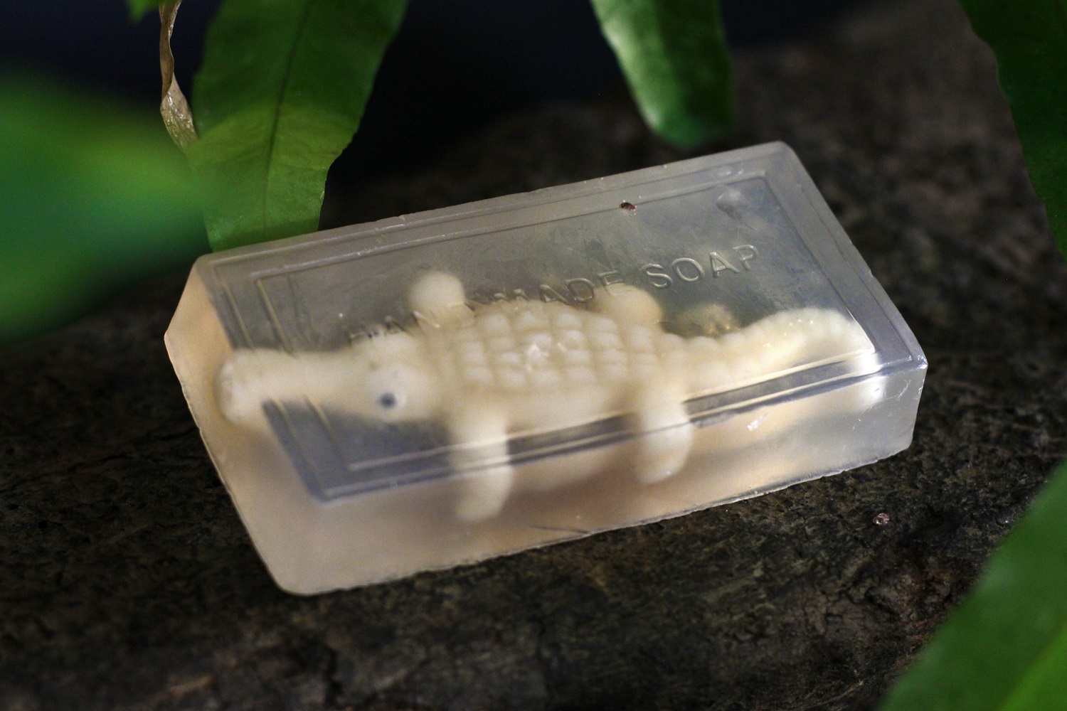 Crocodile Soap 3
