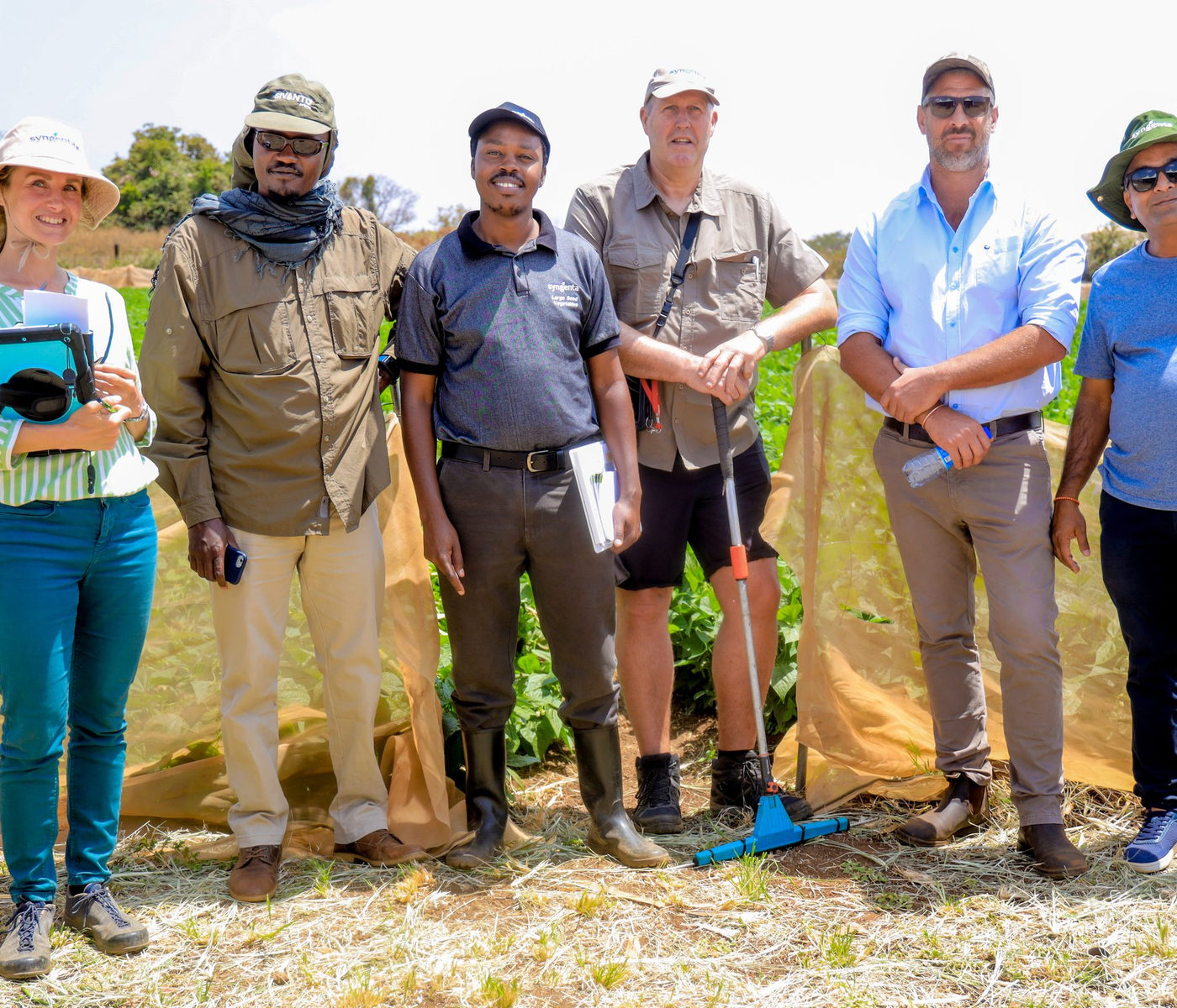 Growers and agronomists together on a demonstration plot