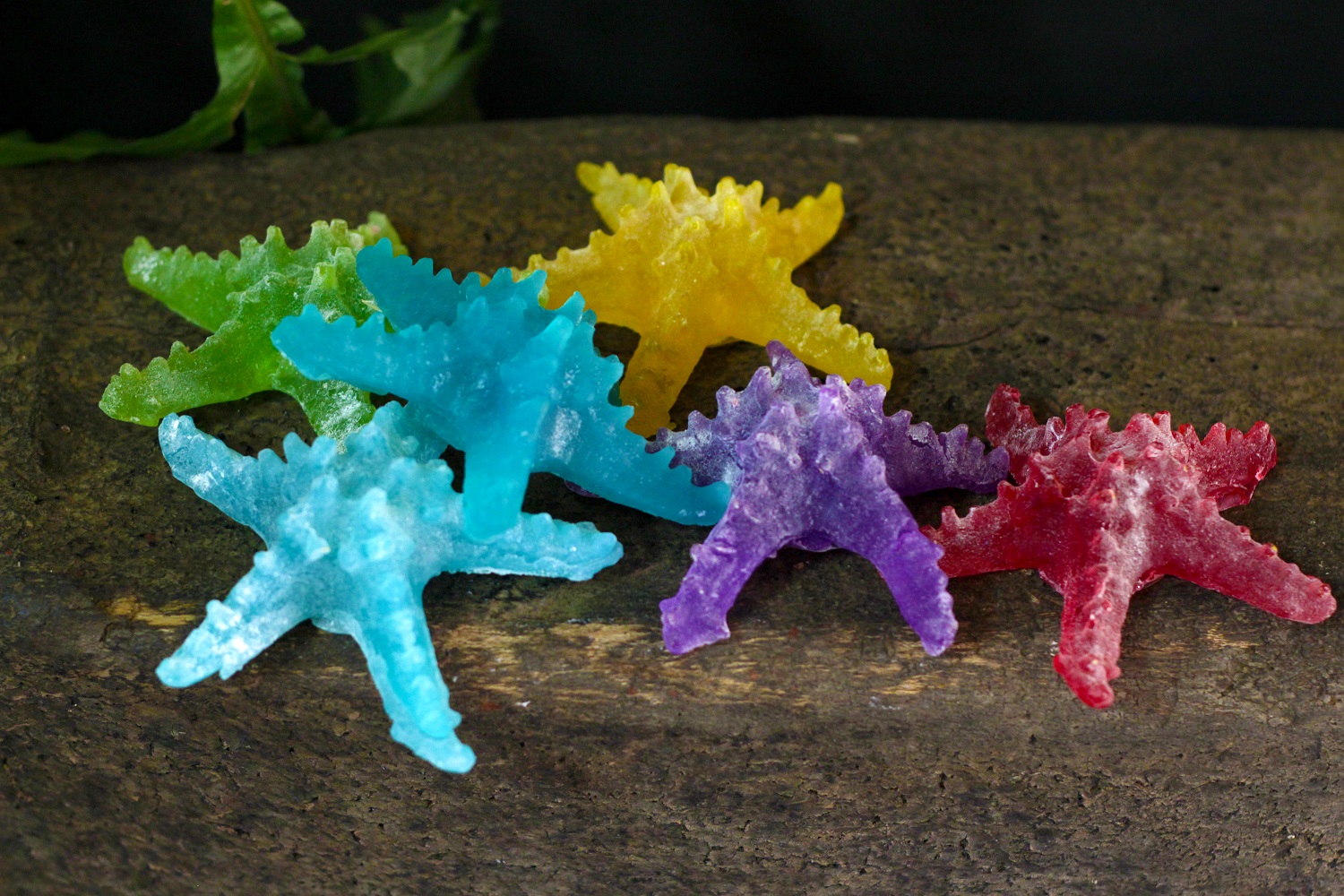 Starfish Soap