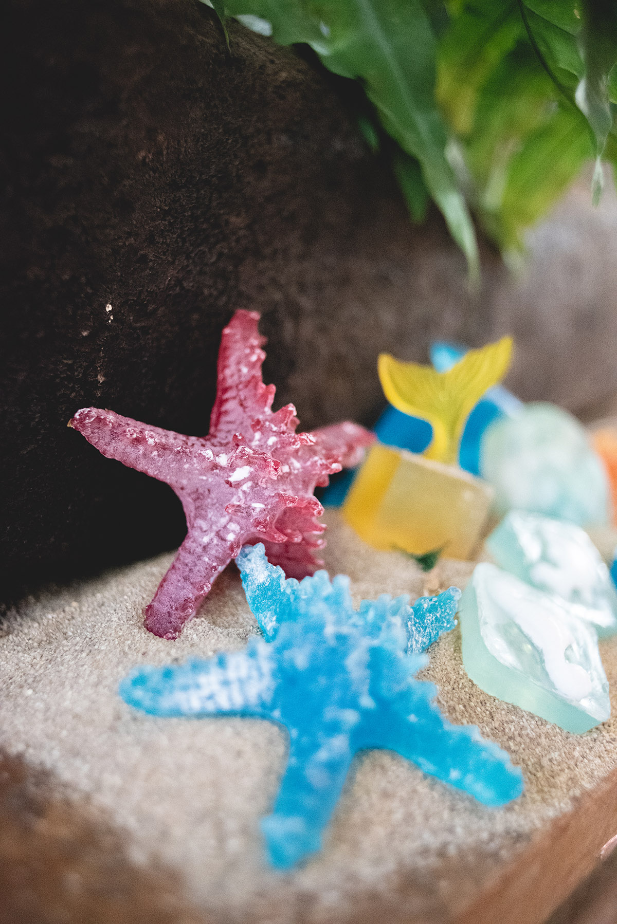 Sea Creature Soap 4