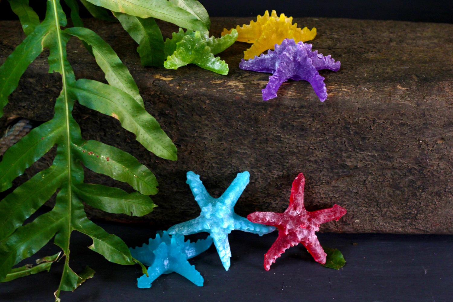 Starfish Soap 2