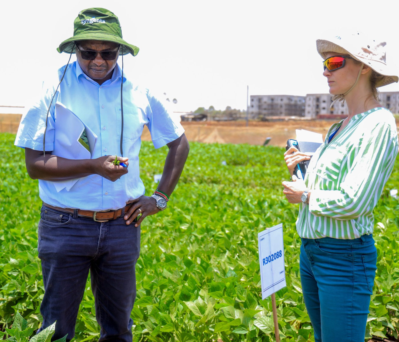 An agronomist talking a grower through a variety trial