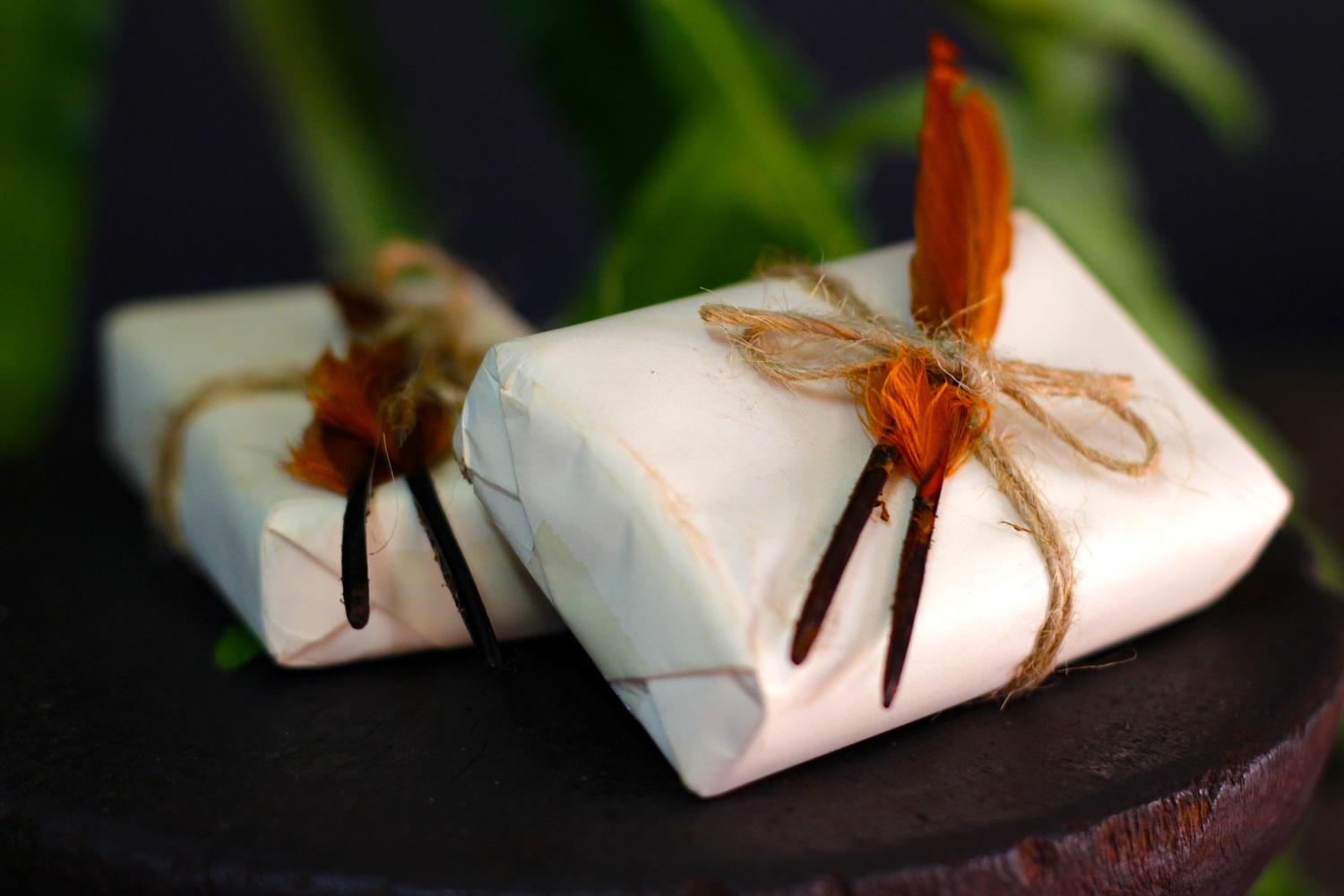 Feather Soap
