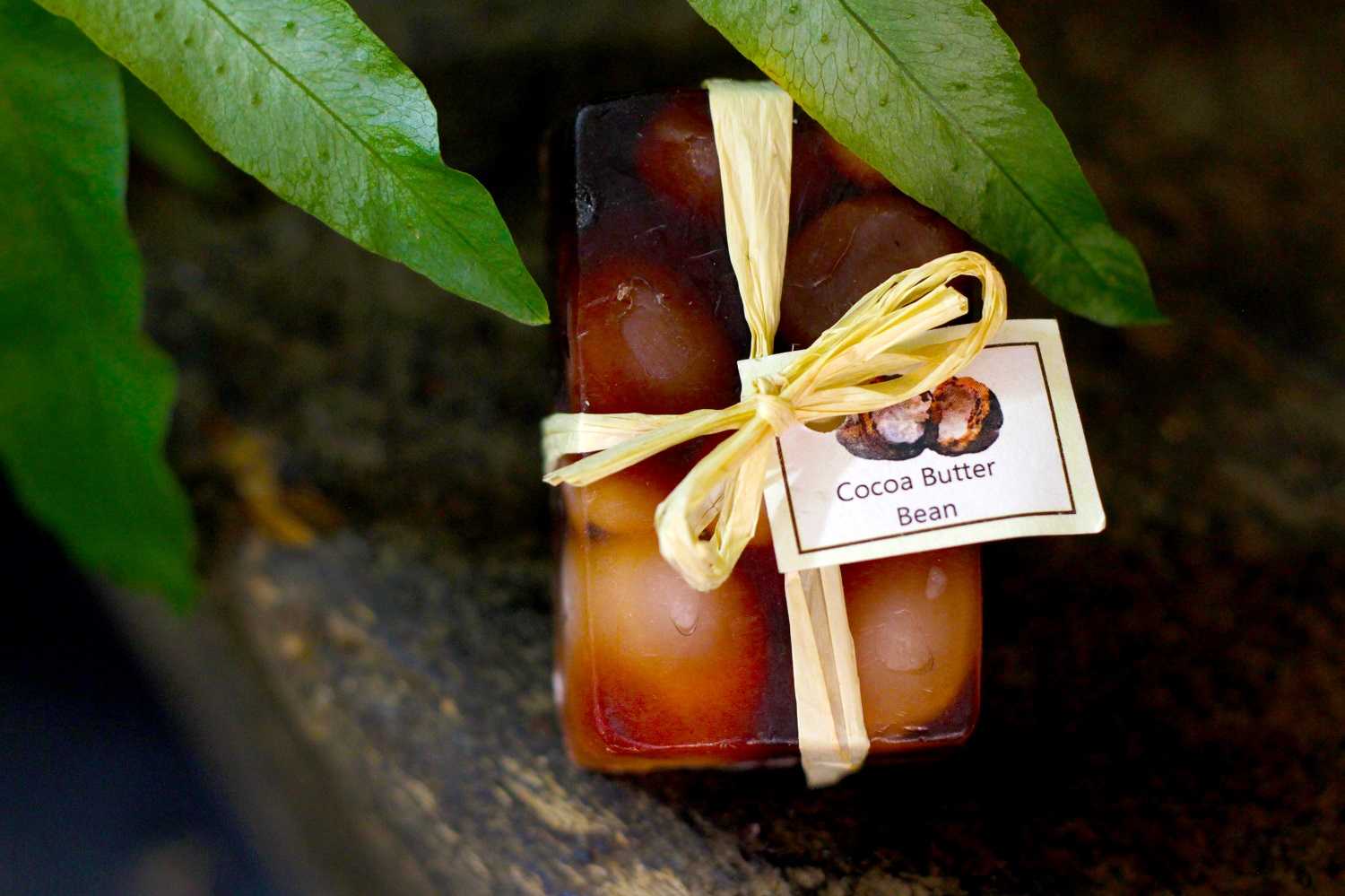 Cocoa Butter Soap