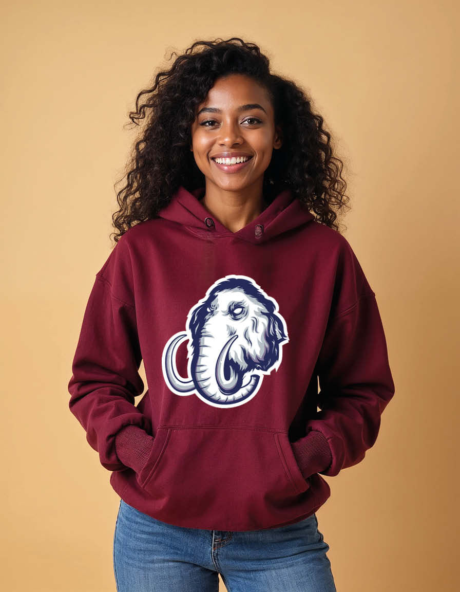 Thumbnail: Majestic Lion Head Line Art Stylish Unisex Printed Graphic Hoodies