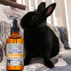 Hi Ho Silver.. to the Rescue!