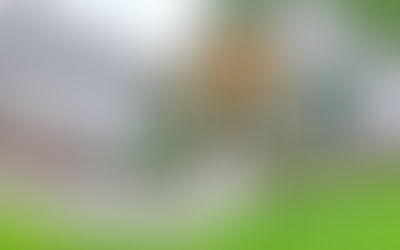 Sneak Peek: Inside Lucke’s New Custom Model Home in Rivercrest