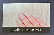 S__45350983_0_edited.jpg