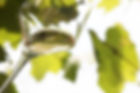 Fotolia_53429213_S_edited_edited.jpg