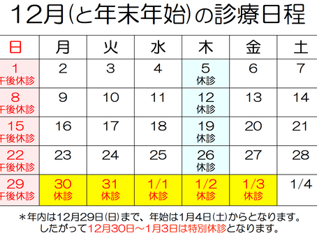 12月(と年末年始)の診療日程