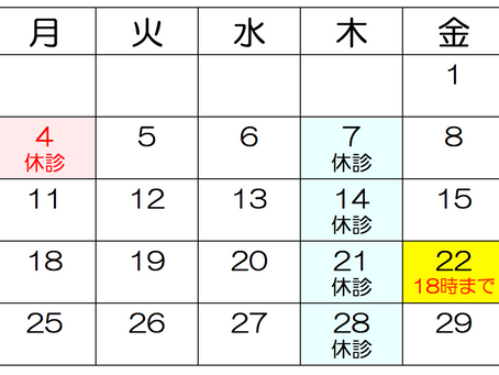 11月の診療日程
