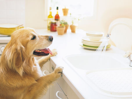 爪切りしていますか?