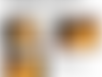 迷い猫ちゃんのお知らせ