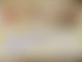 犬猫カレンダー配布終了のお知らせ