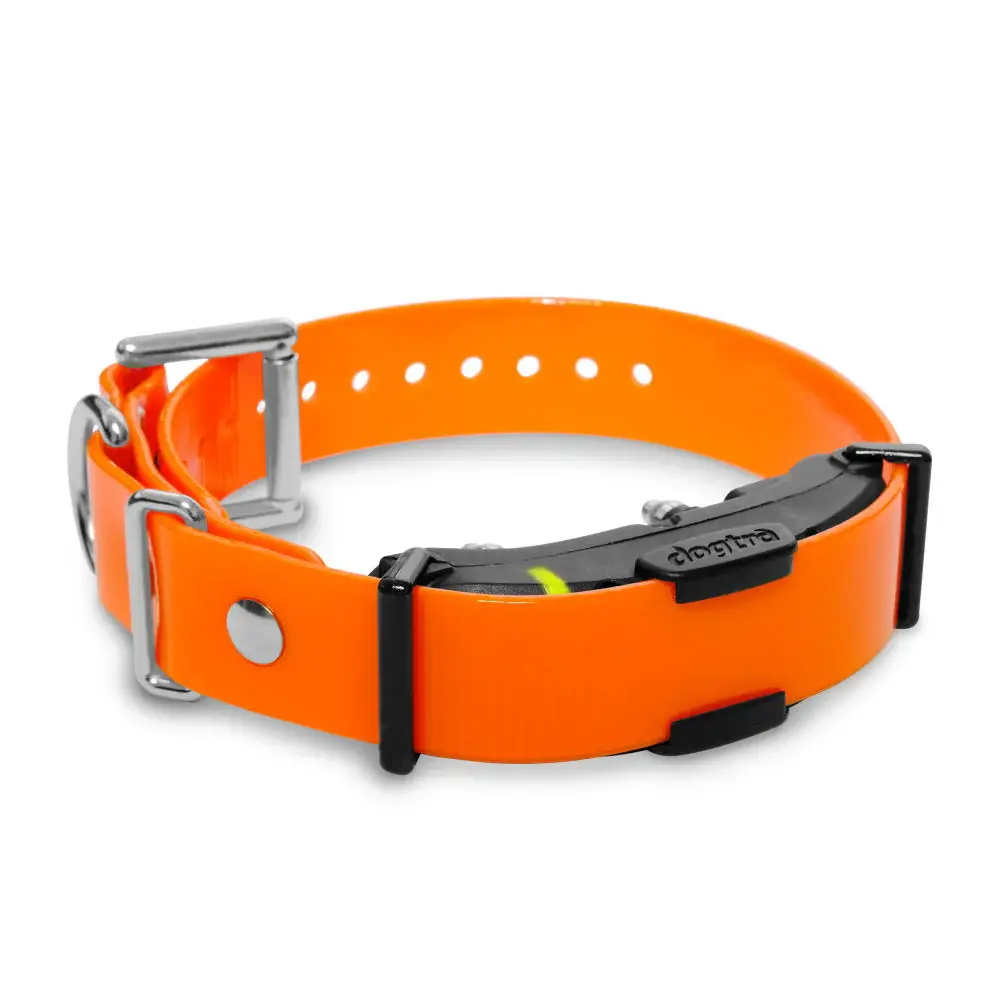 Dogtra ARC Additional Receiver