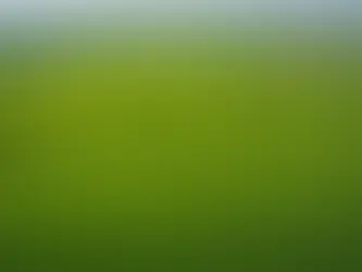 Uncovering the Key Benefits of Commercial Lawn Maintenance: What You Need to Know