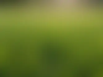 How to Master the Perfect Lawn Cut: Unlocking the Secret to Optimal Grass Height