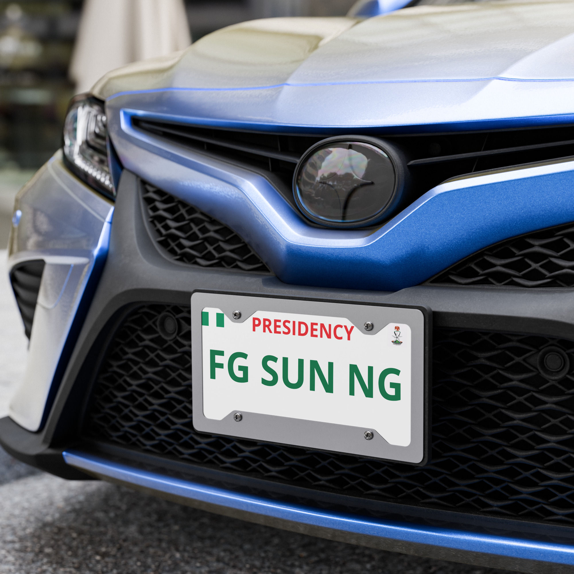 NG Customs license plate
