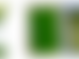 Solar cells for schools: new chemistry didactics publication