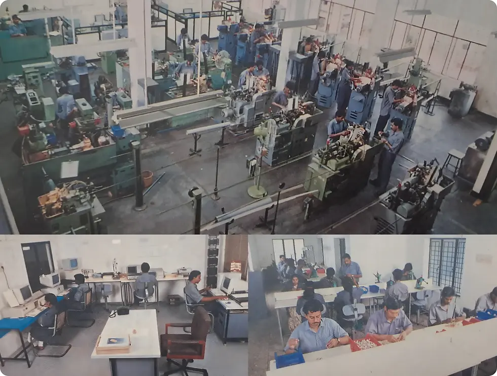 Srinar electronics workers