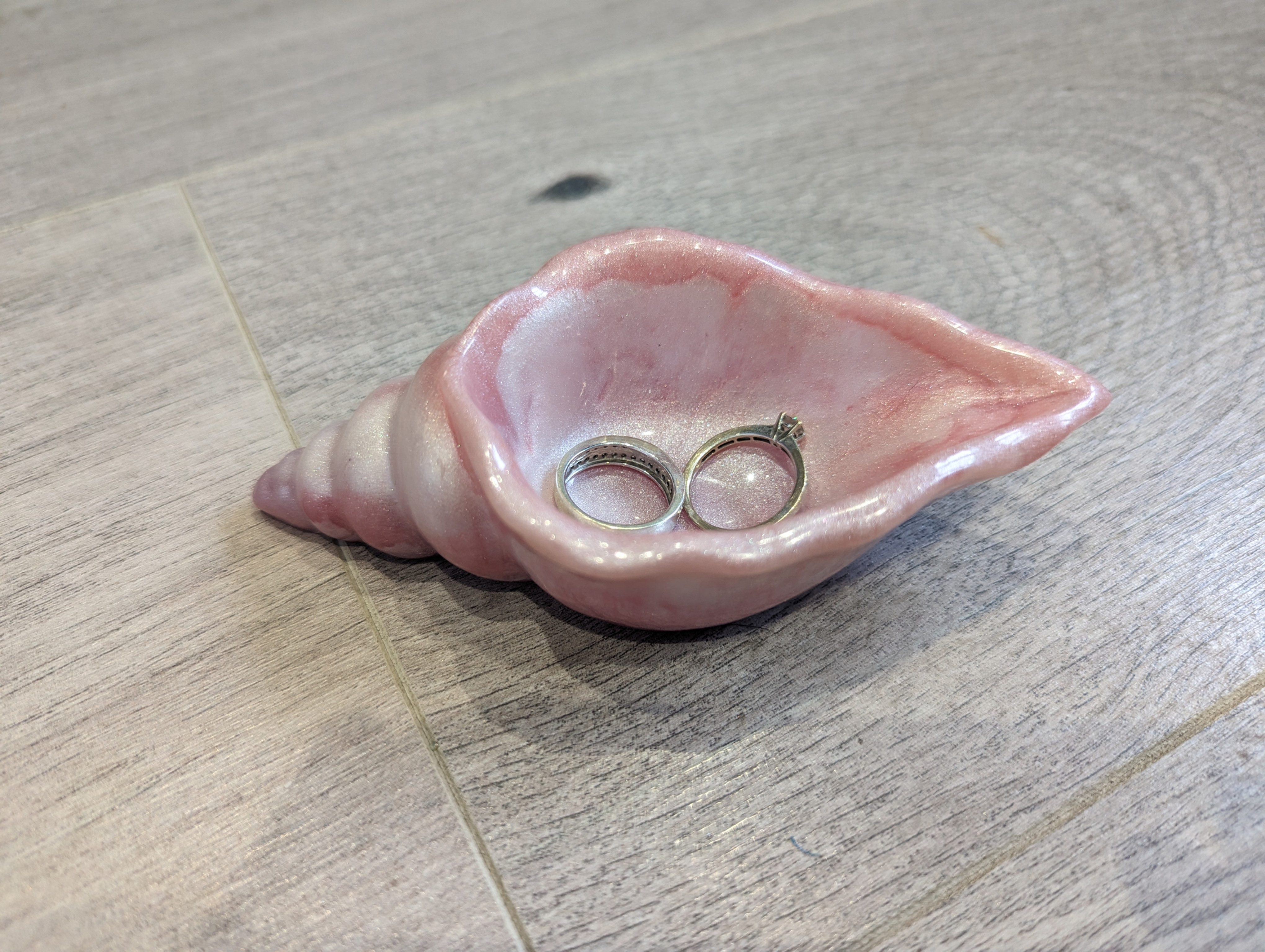 Shell dishes