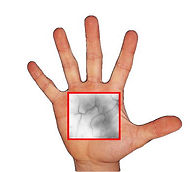 PalmVein Scan Hand