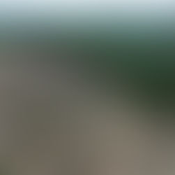 Who Leads When America Won't? The Post-COP30 Climate Landscape 