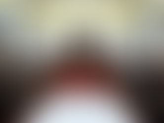 Neutralidad parlamentaria: el Congreso regula la actividad política de sus miembros